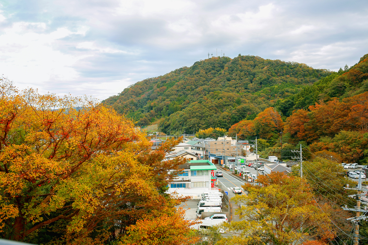 【静岡県】窓からは修善寺の町並と山々、四季折々の表情を愉しむことができます