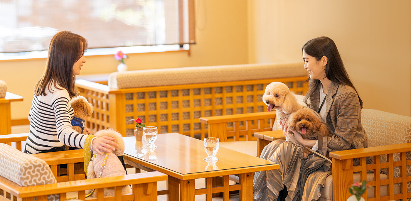 【静岡県】小松家 八の坊