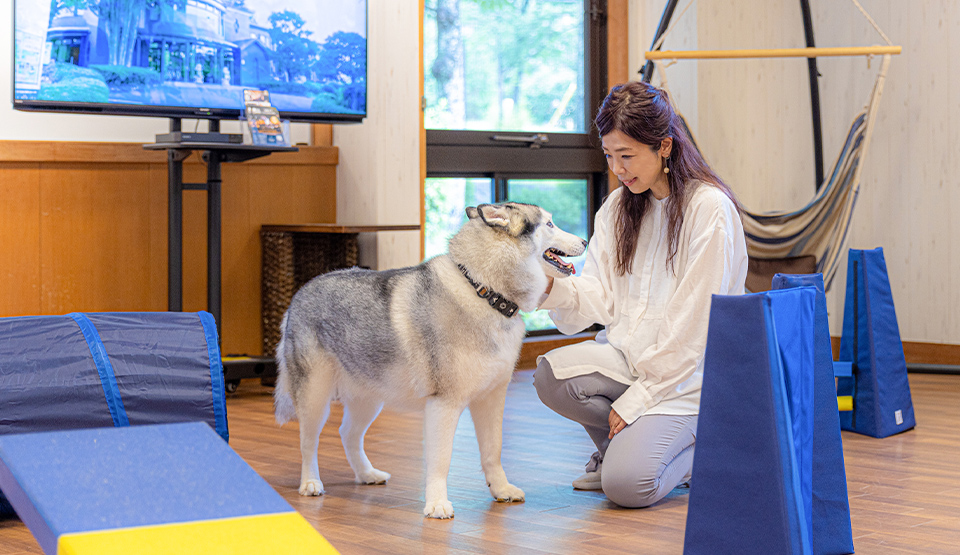 【静岡県】晴れの日でも雨の日でも愛犬も大満足のアクティビティ