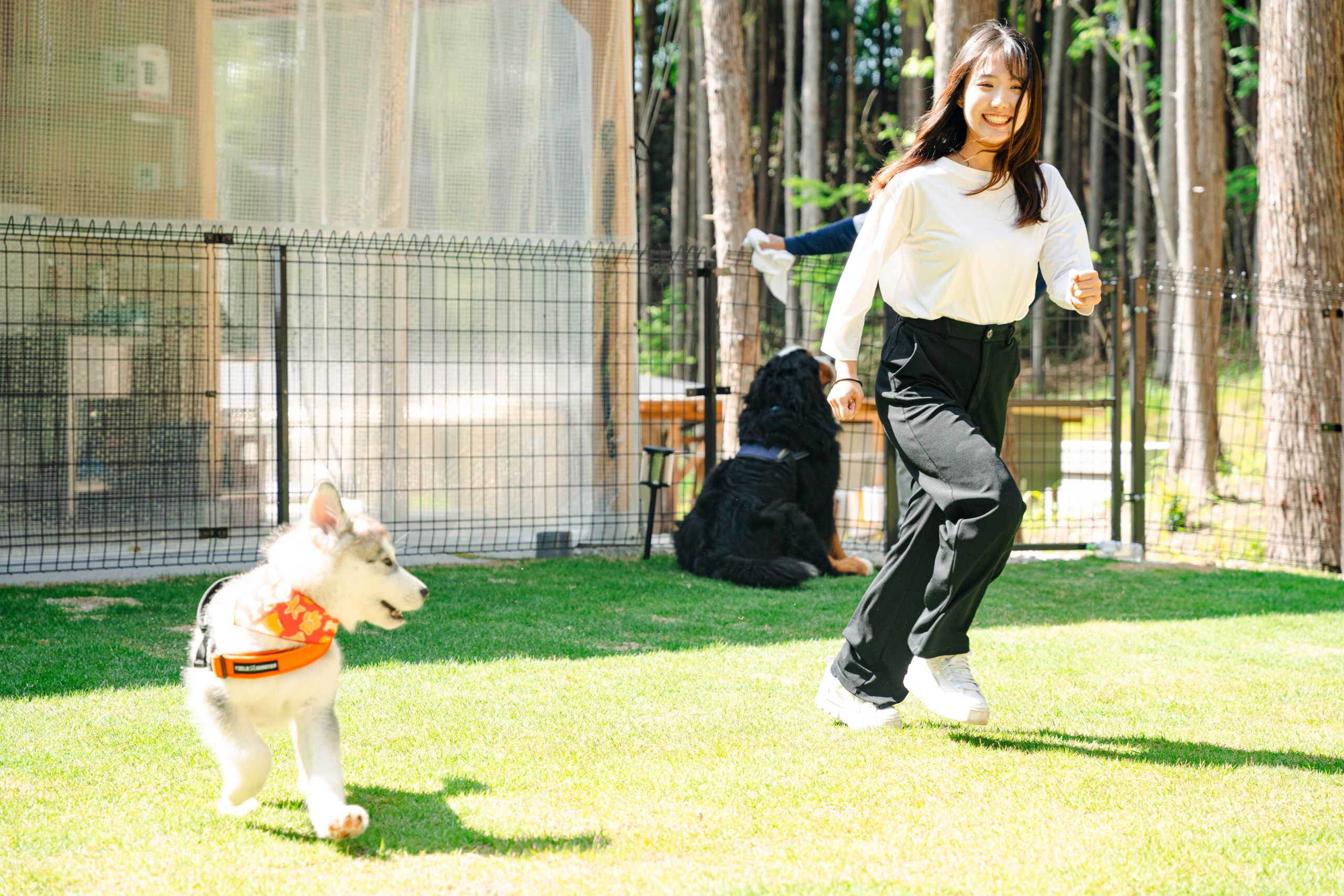 【奈良県】ドッグラン付き