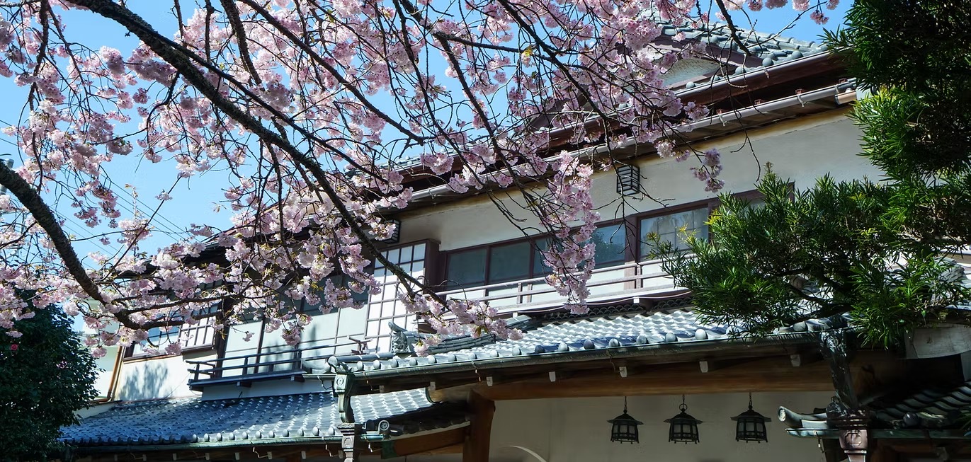 【静岡県】土肥温泉　坂聖・玉樟園