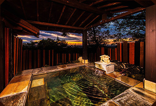 【静岡県】伊豆の原生林の中にある名物の温泉露天風呂