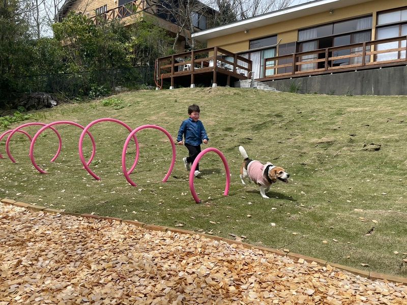 【静岡県】広々ドッグラン付き