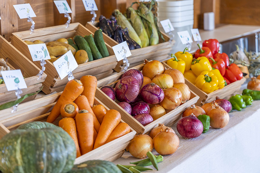 【関西_兵庫県】燻製体験、ポップコーンの手作り体験やマシュマロ焼き体験、また自然豊かな淡路島で育った島野菜を無料で選べる「お野菜マルシェ」、自由にオリジナルのキャンプ飯に挑戦する「アウトドアギアマルシェ」をご用意