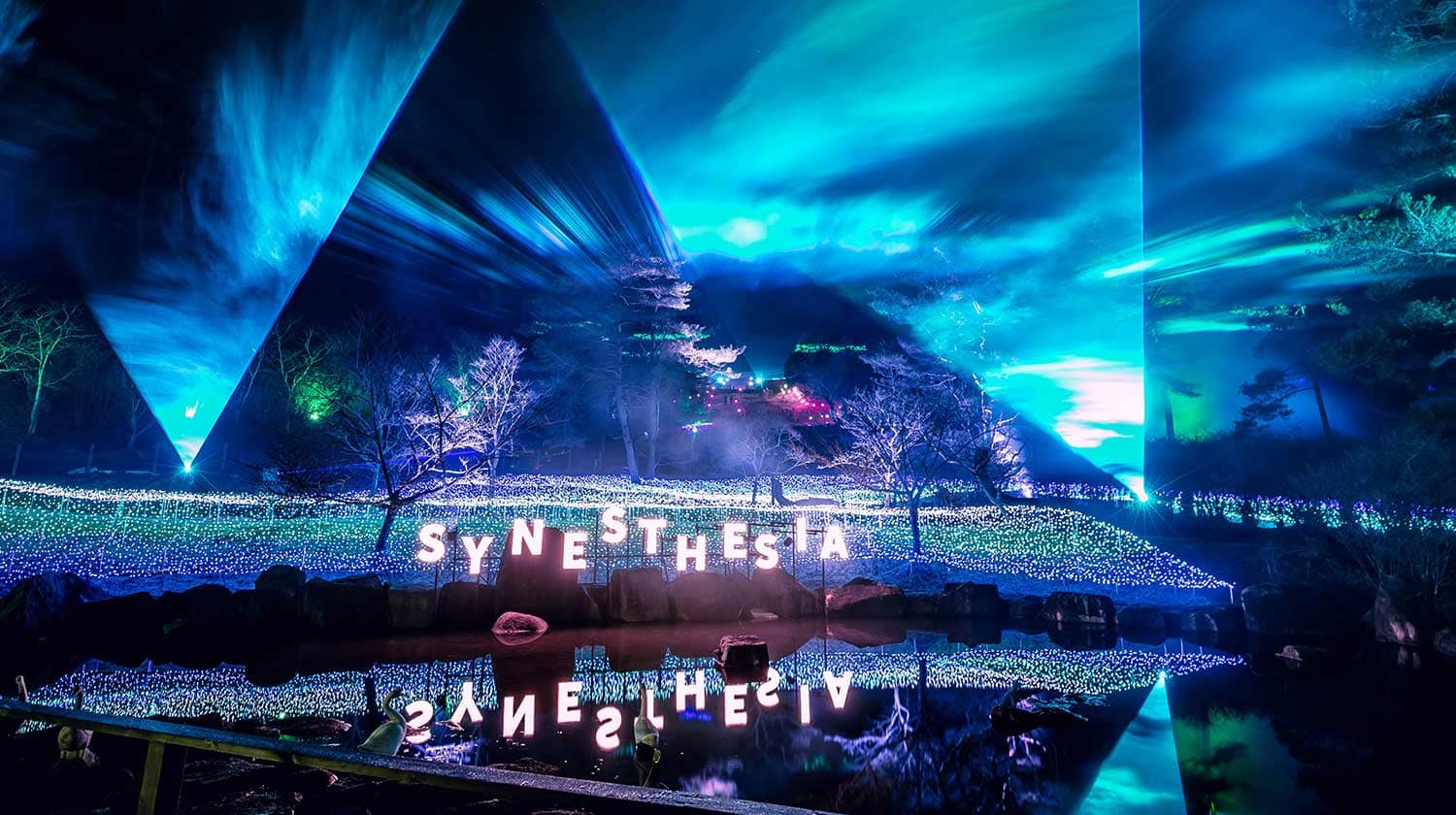 【関西_京都府】シナスタジアヒルズ：１年中楽しめるイルミネーションが京都るり渓に誕生