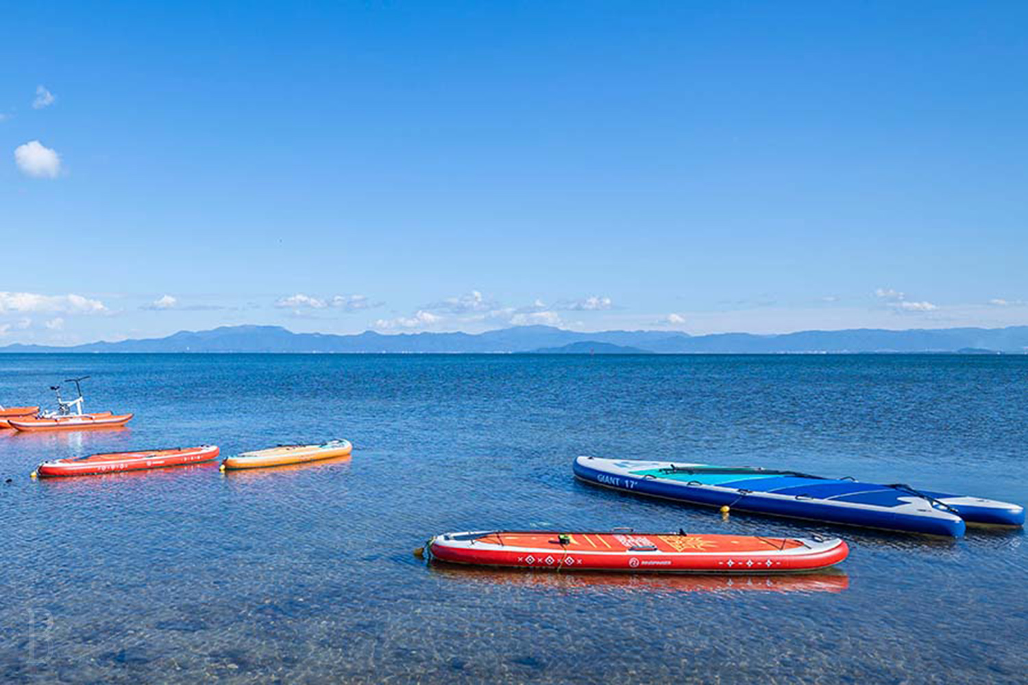 【関西_京都府】愛犬と一緒に楽しめる 多彩なマリンアクティビティ