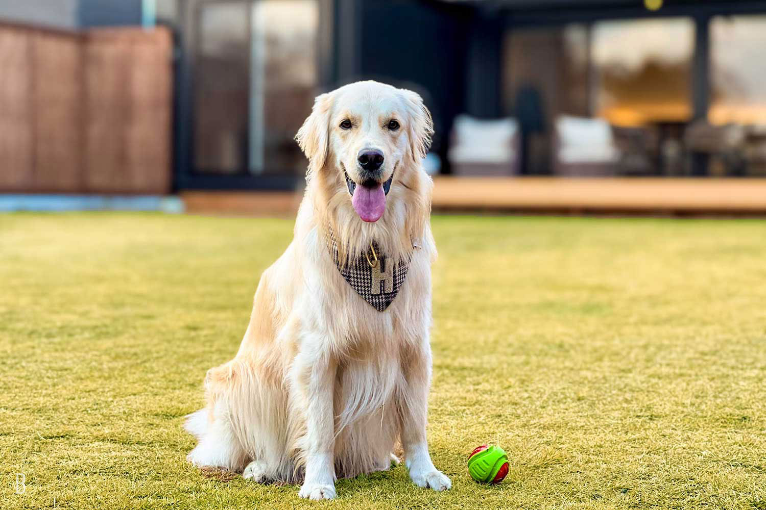 【関西_滋賀県】3棟限定のわんちゃんと泊まれる プライベートドッグラン付客室