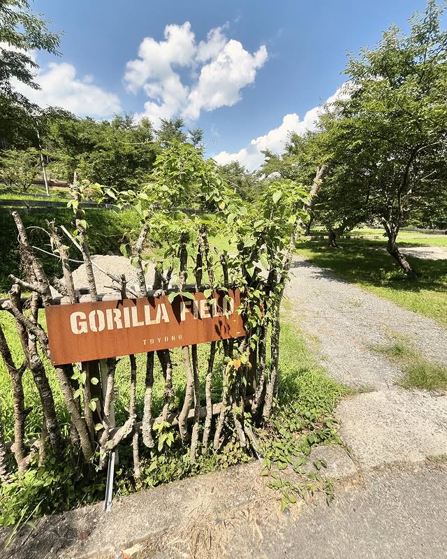 【関西_大阪府】ゴリラフィールドとよのキャンプ場