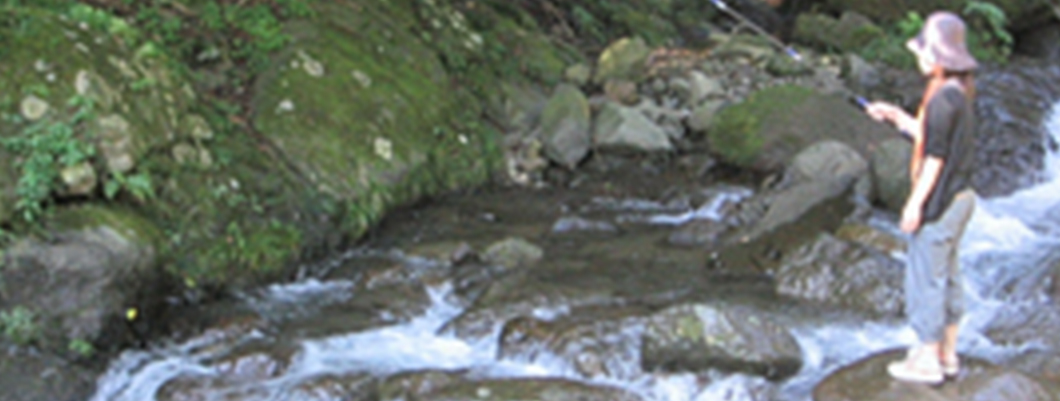 【関東_神奈川県】自然に囲まれた日向渓谷マス釣り場。釣り上げ尾数は無制限です