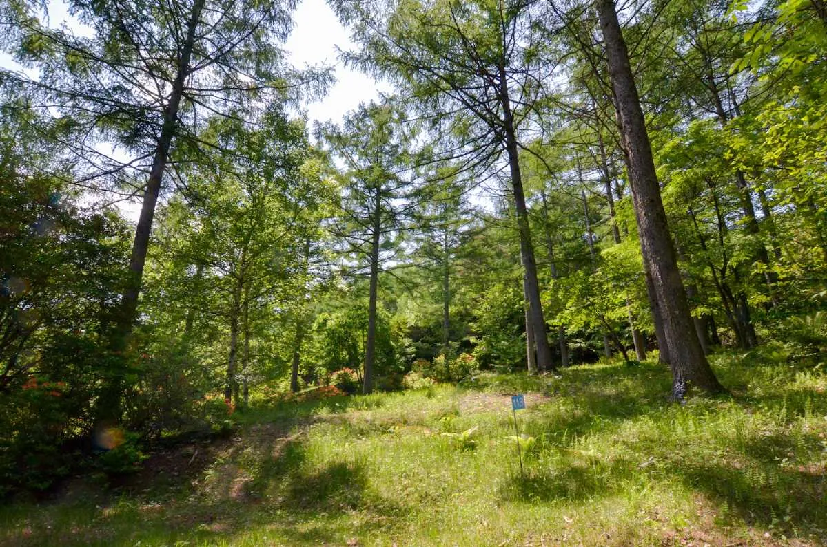 【甲信越_長野県】森に囲まれたプライベート空間 自分だけの時間を過ごす