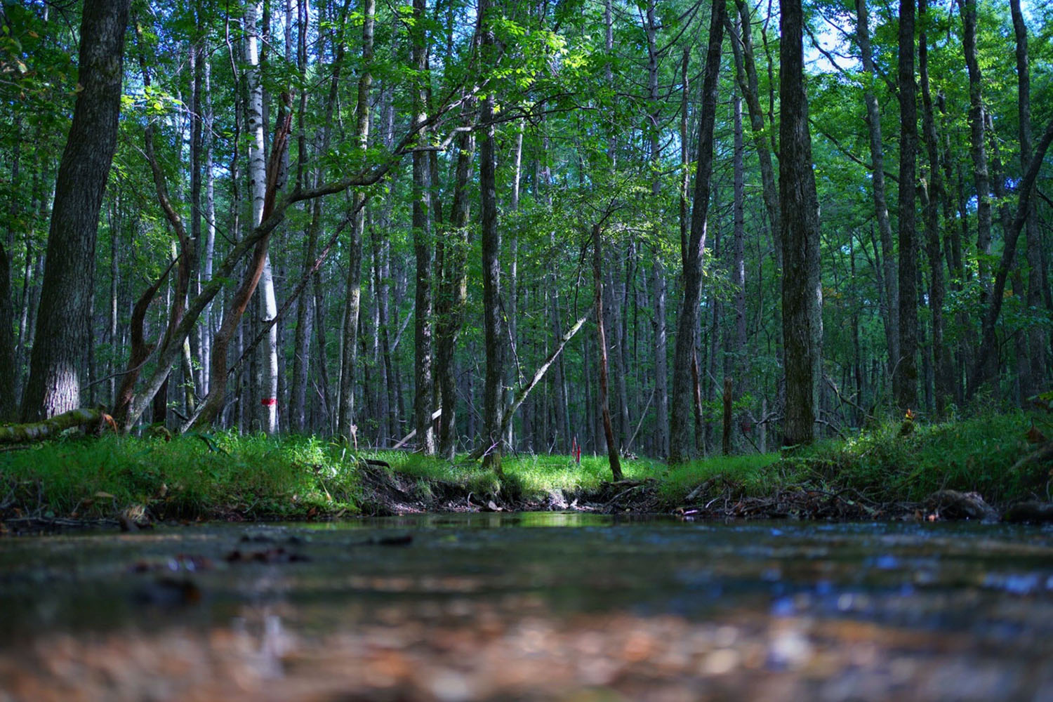 【甲信越_長野県】自然物