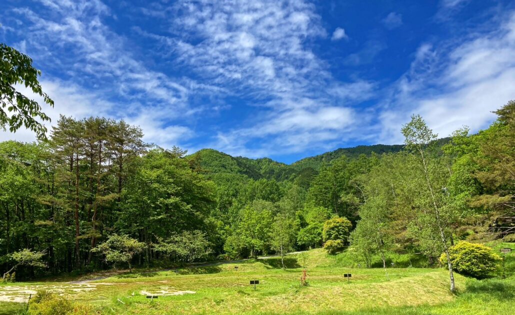 【甲信越_長野県】テントサイト