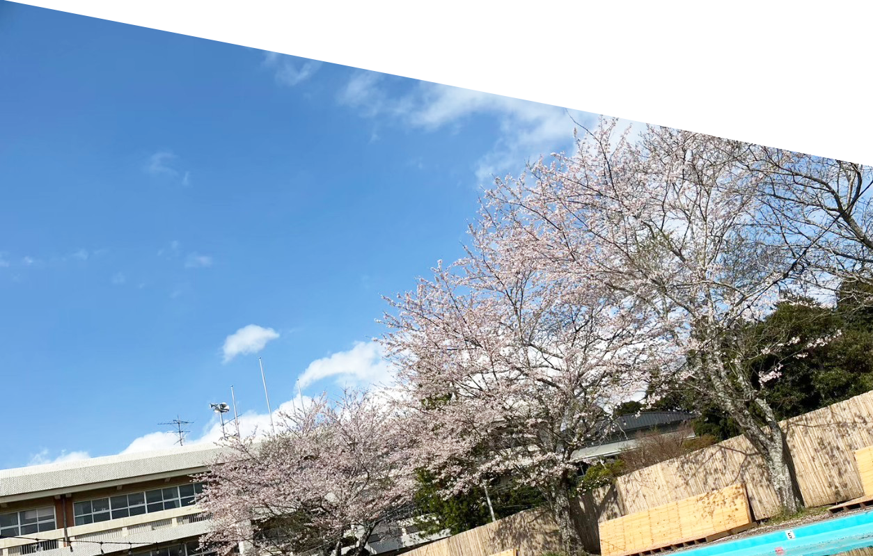 【関東_千葉県】学校の遊具もそのまま、 ワイワイと家族で楽しむことができ、 お子さま連れにももってこいです