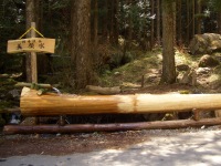 【甲信越_長野県】信州の名水・秘水に選定された湧き水「美顔水」が流れ出ています