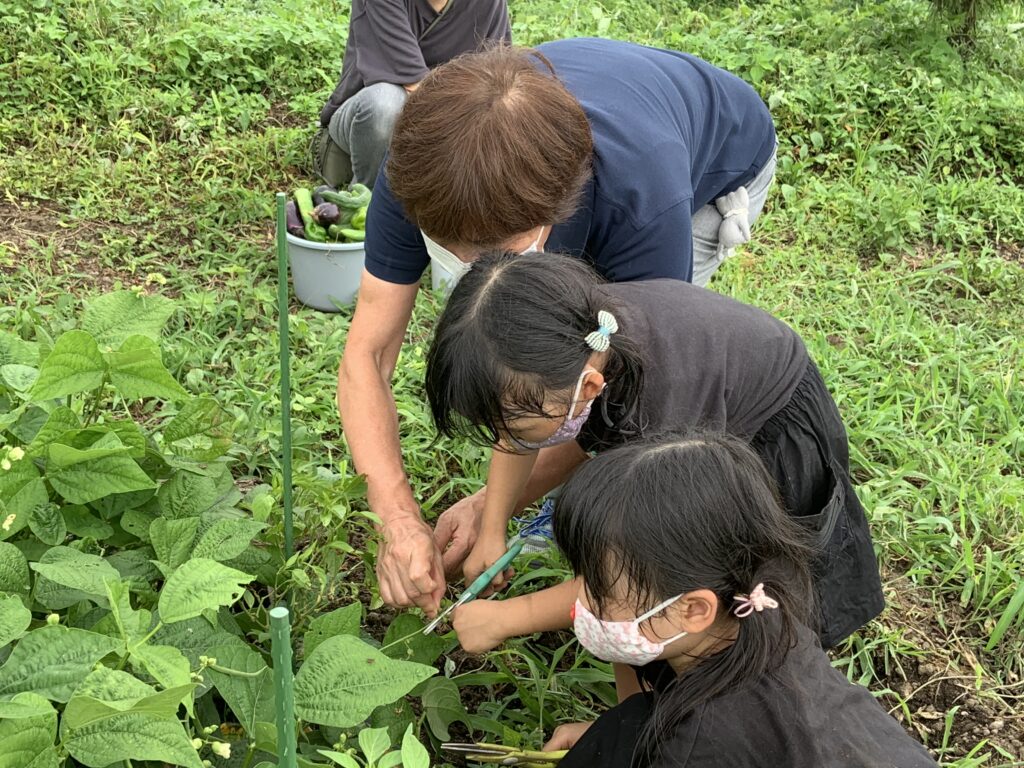 【北関東_群馬県】野菜収穫畑：お子様達や友人達と収穫体験をし、そのまま野菜をBBQする人気コーナー